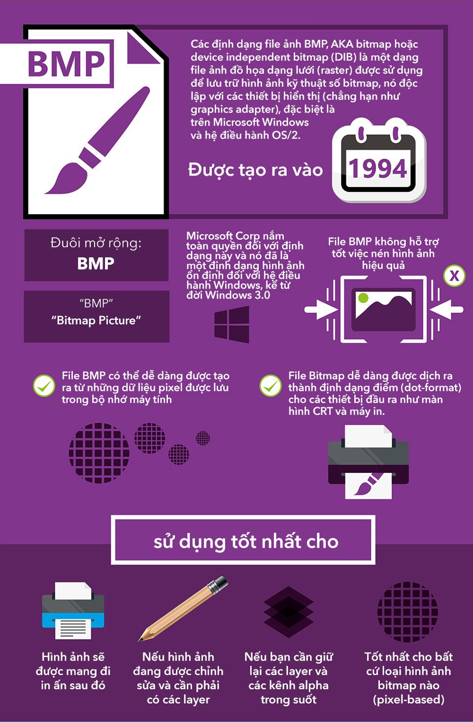 Infographic BMP