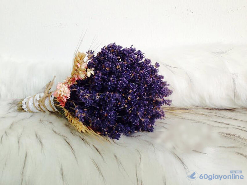 Hoa cưới Oải Hương - Lavender