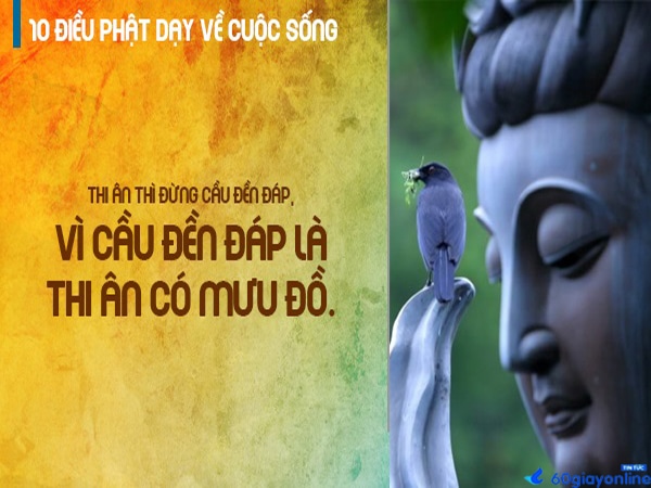 Những câu nói hay của Phật về cuộc sống