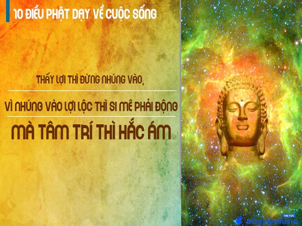 Những câu nói hay của Phật về cuộc sống