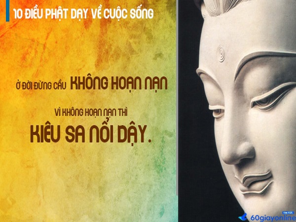 Những câu nói hay của Phật về cuộc sống
