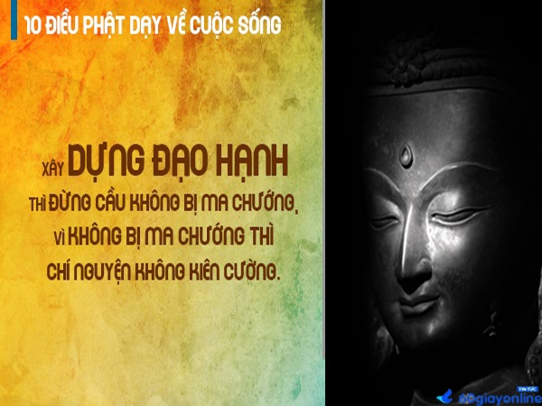 Những câu nói hay của Phật về cuộc sống