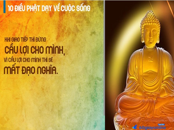 Những câu nói hay của Phật về cuộc sống