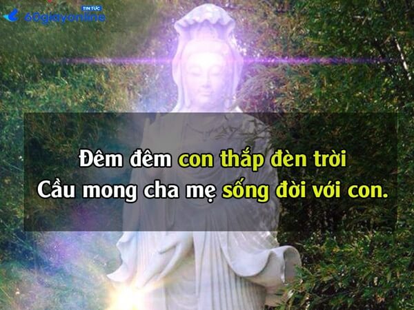 Những câu nói hay về cha mẹ