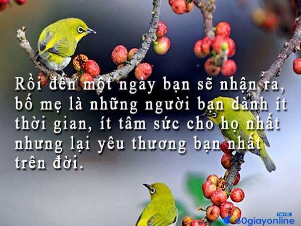 Những câu nói hay về cha mẹ