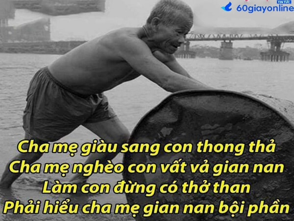 Những câu nói hay về cha mẹ