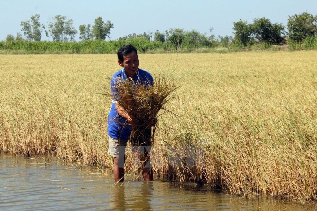 Nước nhiễm mặn
