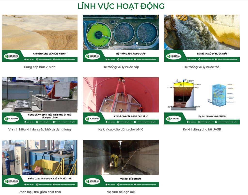 môi trường hồng thái